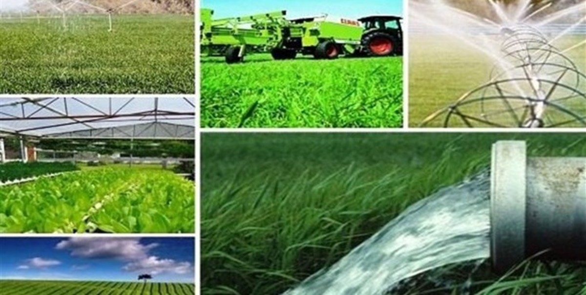 افتتاح و اجرای ۱۰۴ پروژه بخش کشاورزی استان بوشهر در دهه فجر