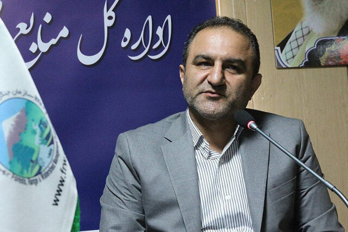استفاده غیر اصولی از جنگل‌های هیرکانی موجب دغدغه‌های مردمی شده است