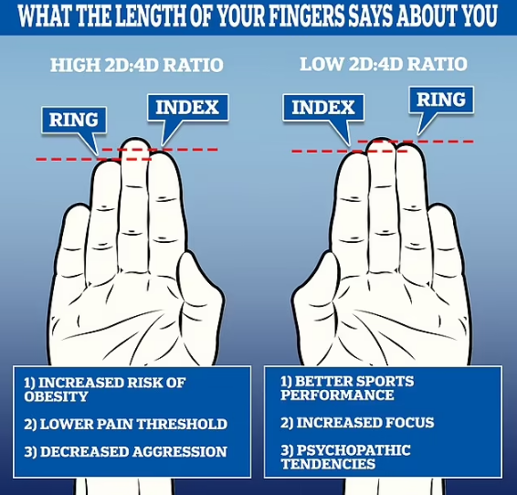 سایز انگشتانتان هم درباره شما راز‌هایی را فاش می‌کند
