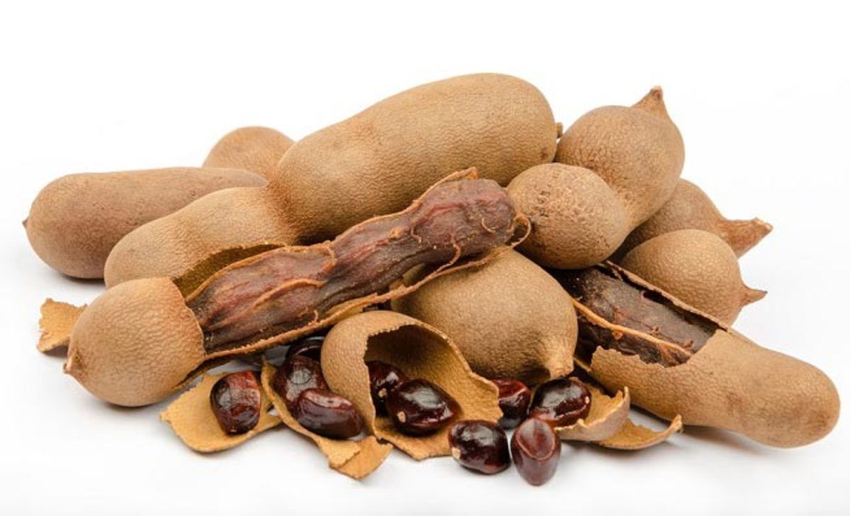 میوه تمر هندی معجزه‌ای برای تقویت سیستم ایمنی و درمان آرتروز