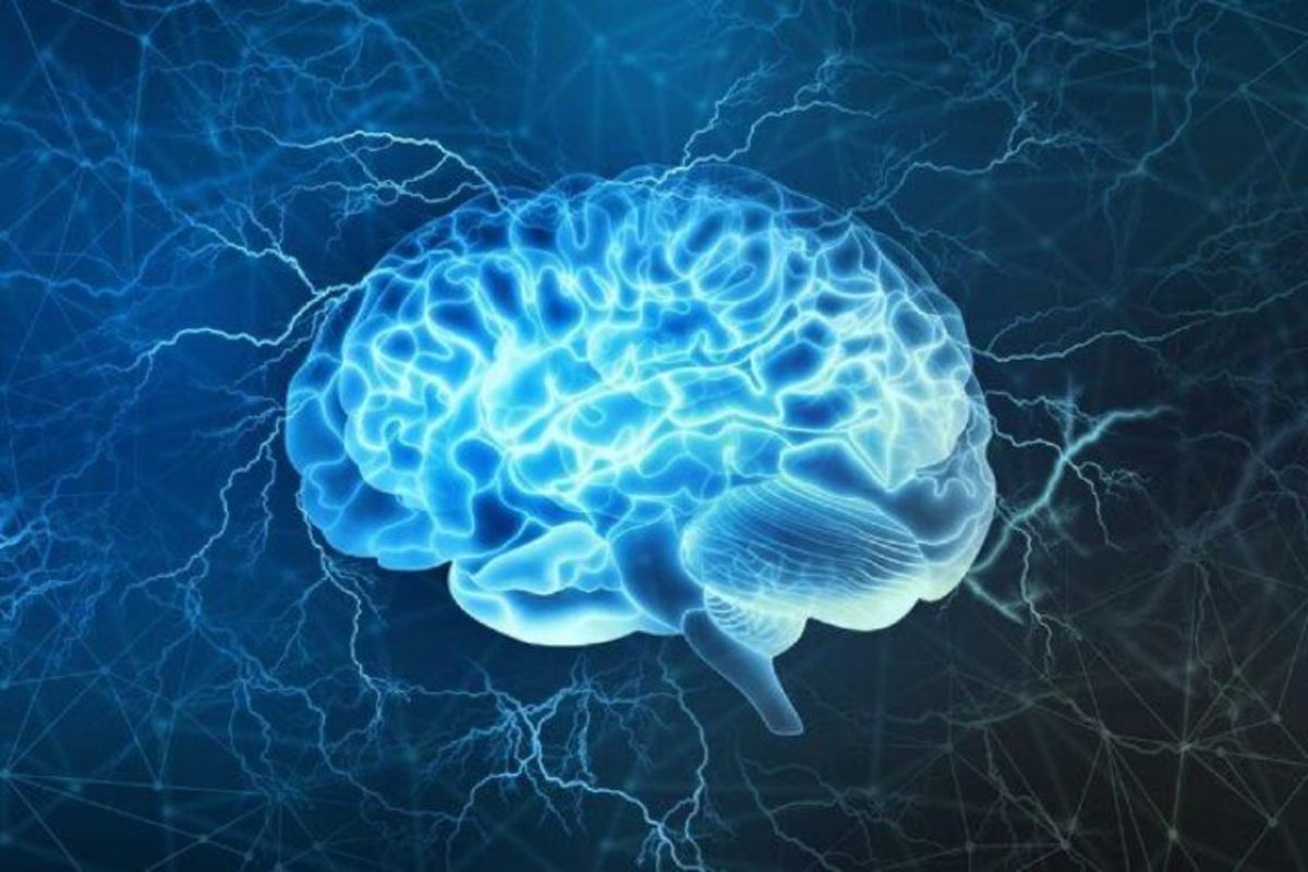استفاده از این گیاه داروئی ناشناخته در کنترل و درمان آلزایمر