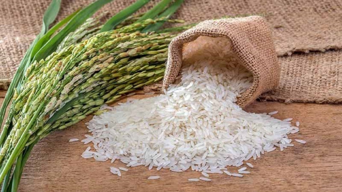 واردات برنج به ۸۰۰ هزار تن رسید