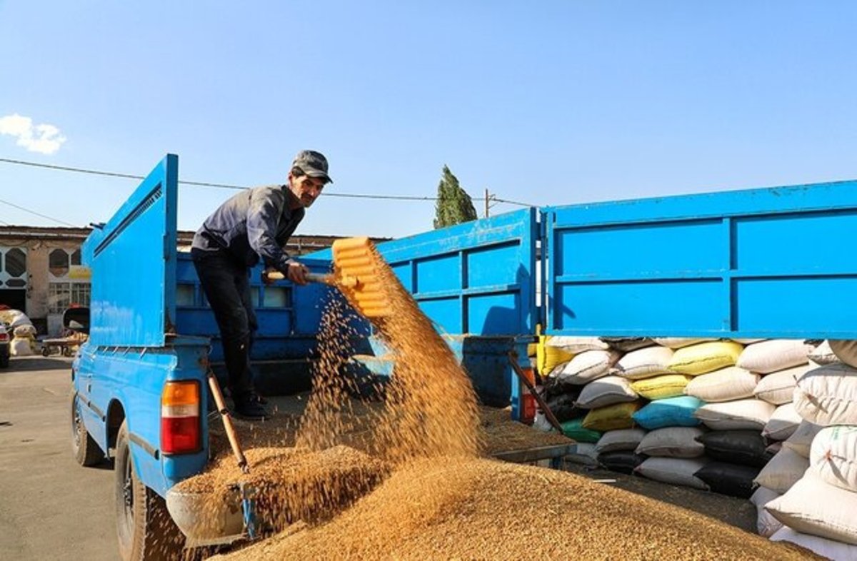 کشف ۱۰۰ میلیارد ریالی گندم احتکاری در زنجان