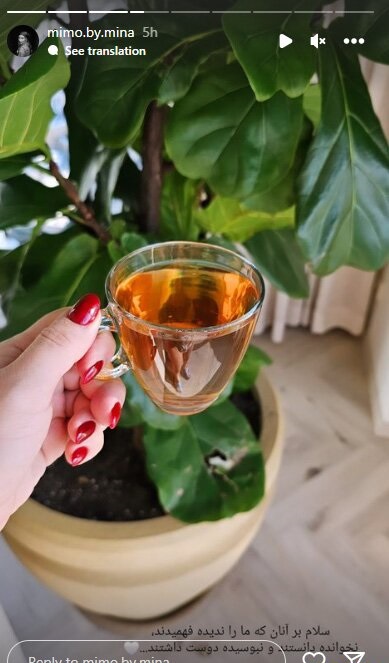 استوری جدید همسر بهرام رادان برای کسانی که ندیده دوستش دارند!