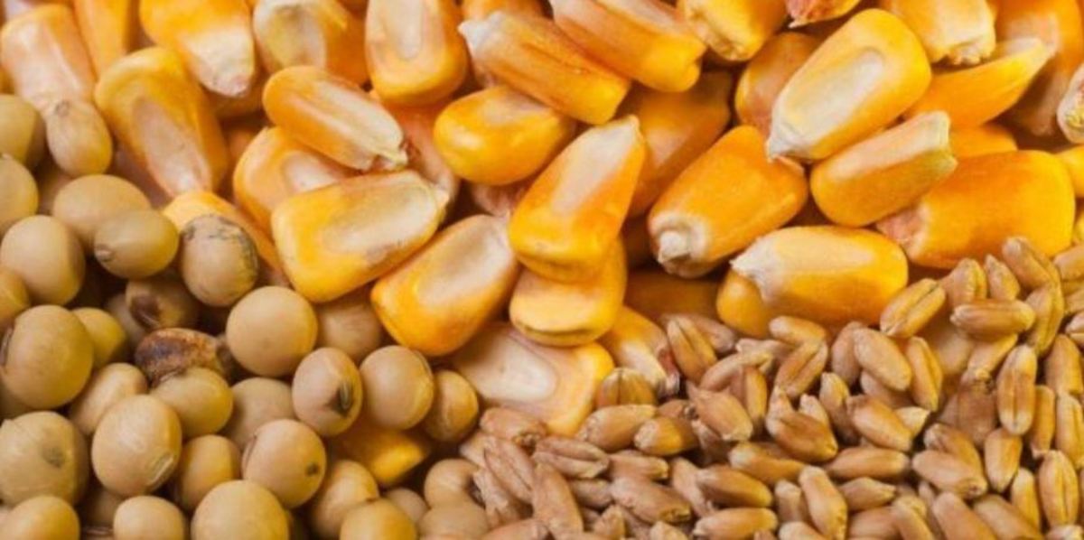 توزیع ۱۰۶ هزار و ۳۰۰ تن نهاده دام و طیور در آذربایجان‌غربی