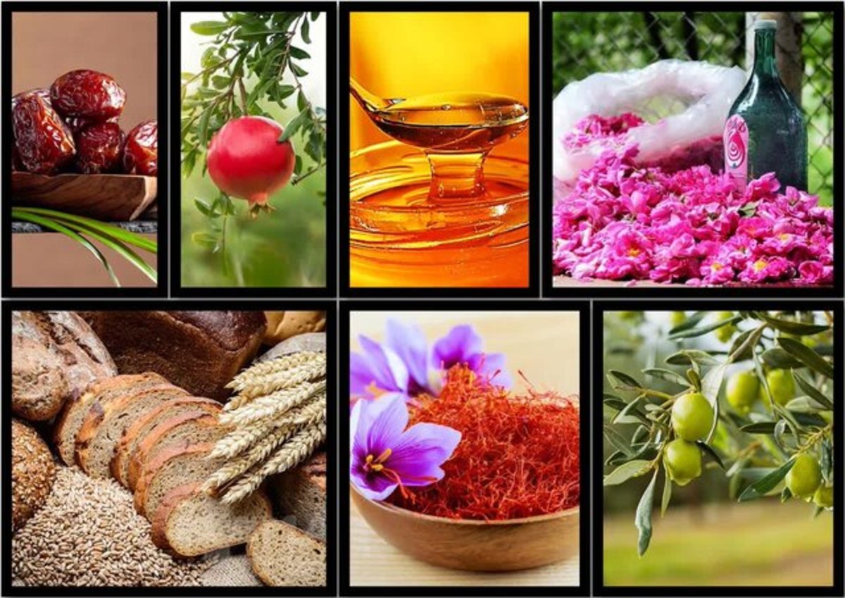 رشد تولید در محصولات کشاورزی با اجرای طرح ارتقای بهره‌وری