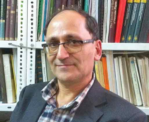 زخم دندان‌های تیز بر استخوان‌های نحیف