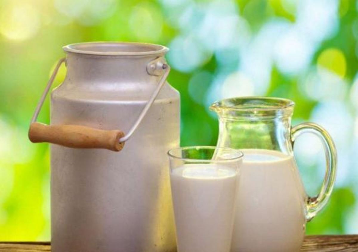 هشدار / ورزشکاران از مصرف این مواد غذایی اجتناب کنید
