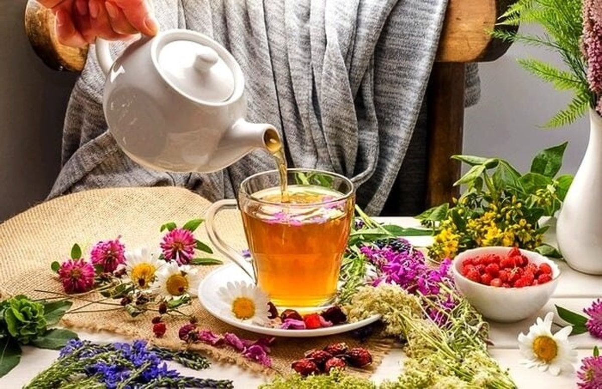 سه فنجان چای در روز برای کمک به تاخیر در روند پیری