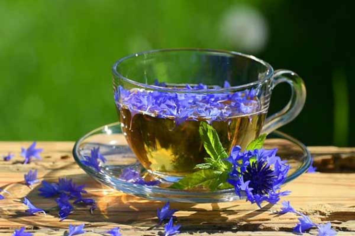 دم نوش گل گندم برای افرادی که تصمیم به ترک سیگار دارند!