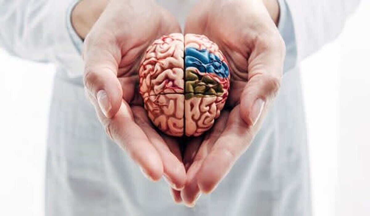 چگونه از پیر شدن مغز جلوگیری کنیم؟