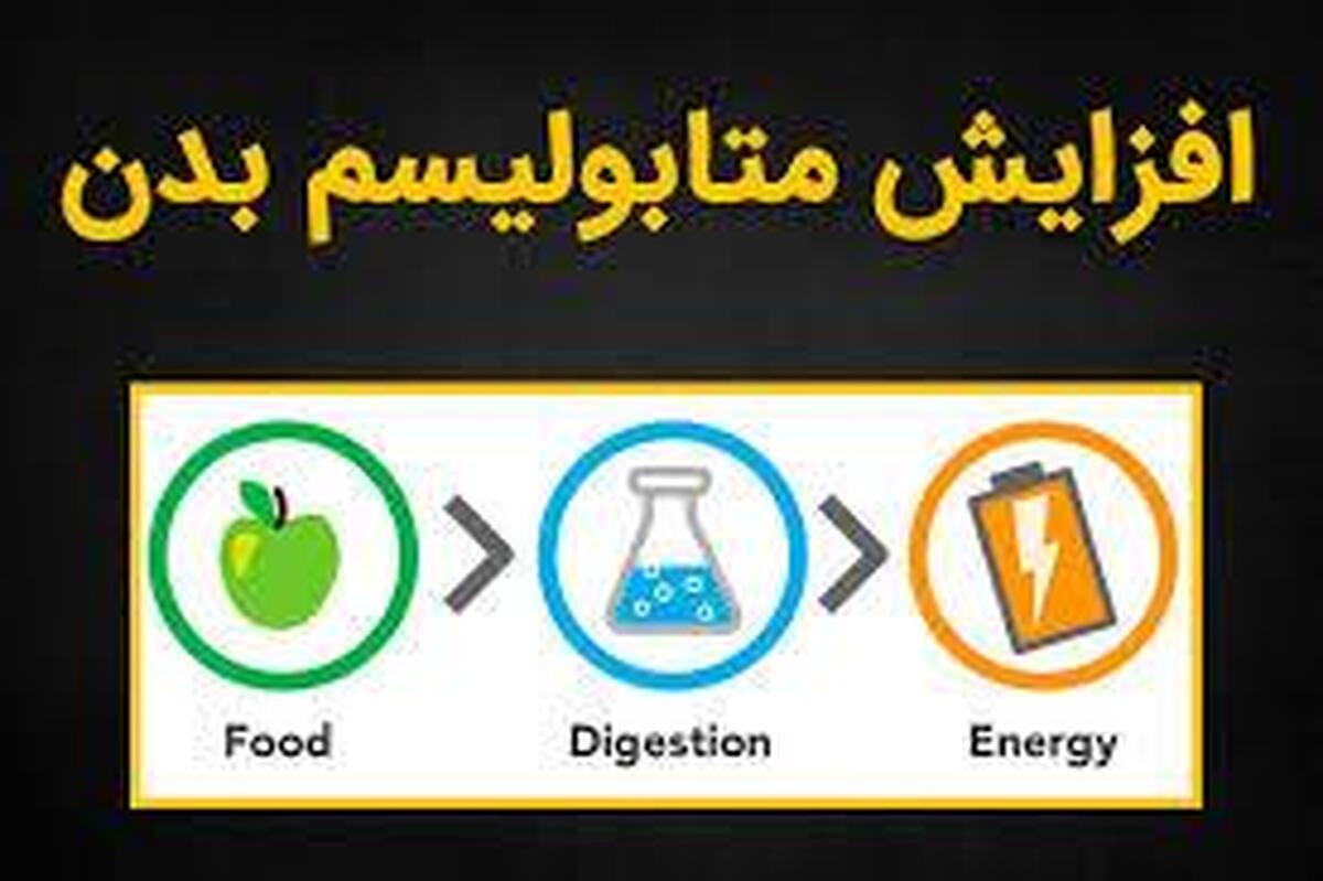 چند راهکار برای بالا بردن متابولیسم بدن بدون هزینه