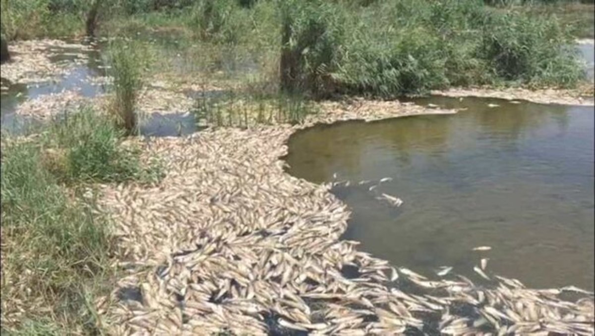 هورالعظیم در معرض خشکیدگی!