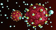 چگونه ویروس HIV وارد بدن میشود؟