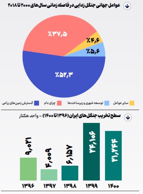 درخت‌زدایی جنگل‌ها!