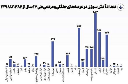 درخت‌زدایی جنگل‌ها!