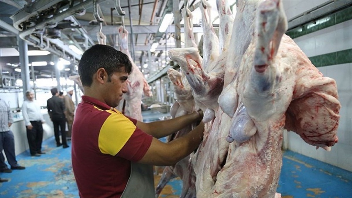 ۱۵ کشتارگاه صنعتی و سنتی دام و طیور در اردبیل فعال است
