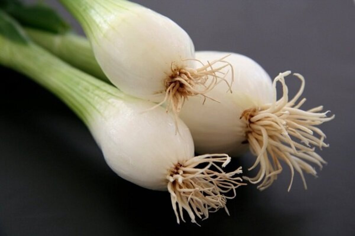 پیازچه با خواص چندگانه برای سلامتی!