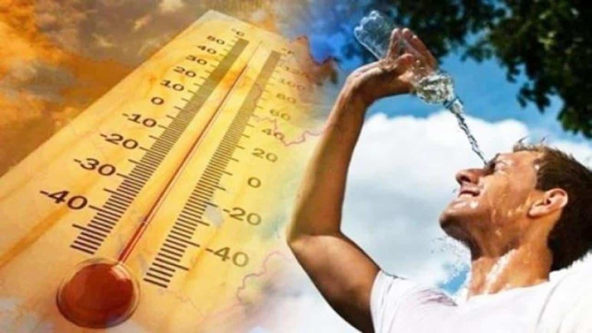گرمای هوا بلای جان قاره سبز شد