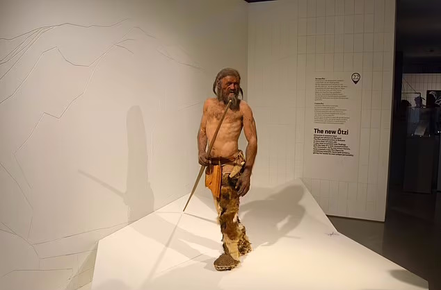 روش وحشتناک «اوتسی مرد یخی» ۵۳۰۰ ساله برای خالکوبی روی بدنش