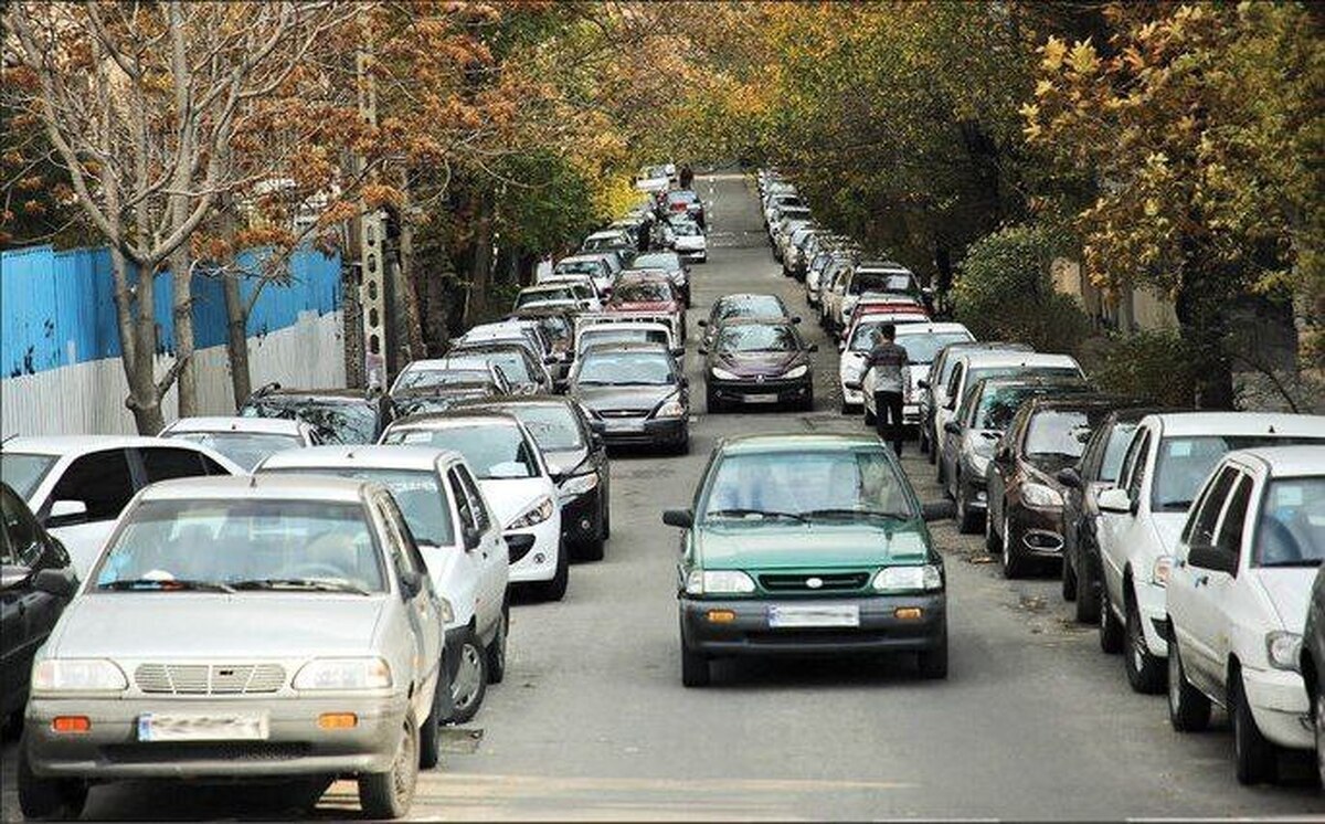 جای پارک چشم مرد میانسال را برای همیشه گرفت