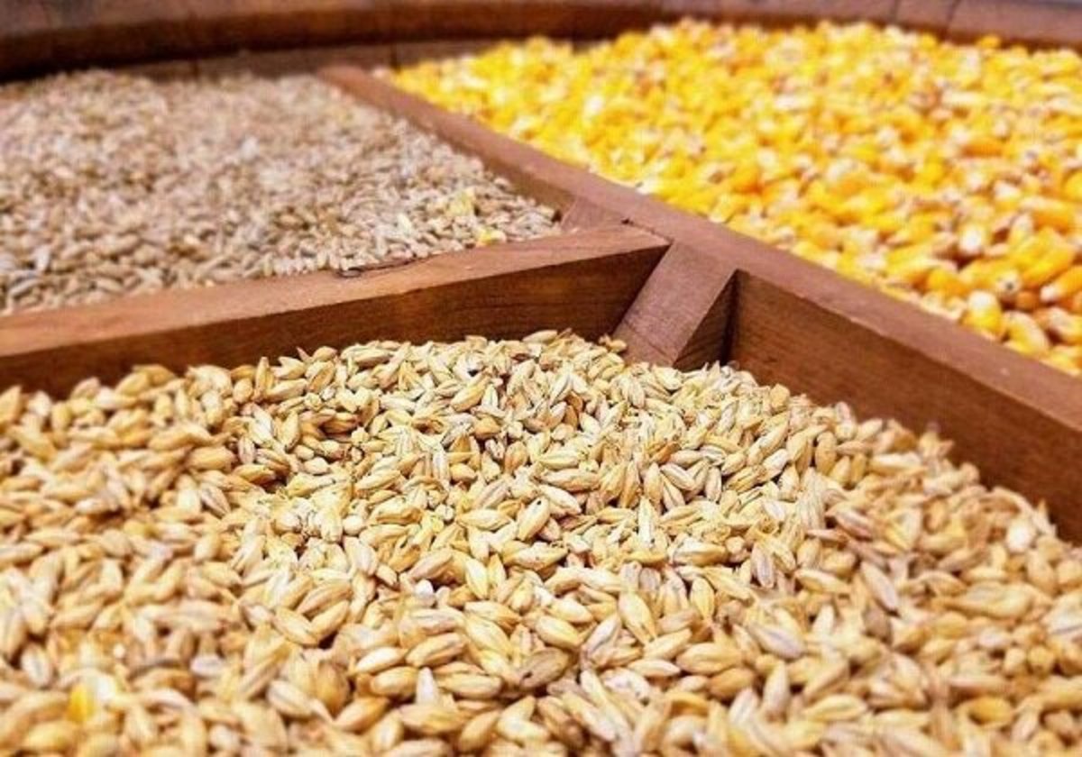 صادرات مازاد تولید، معیشت تولیدکنندگان را بهبود خواهد بخشید