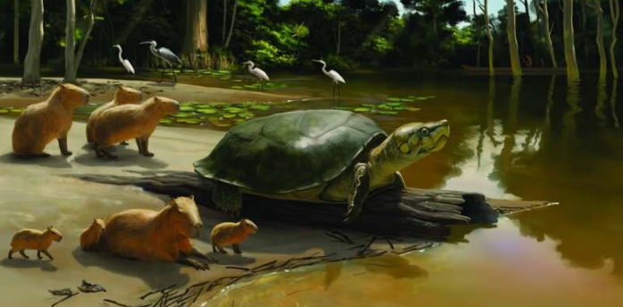 هم نشینی انسان‌های اولیه با غول پیکر‌ترین لاکپشت‌های جهان