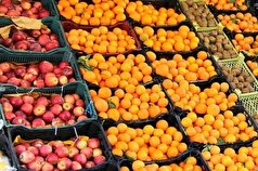 آغاز توزیع میوه و گوشت تنظیم بازاری در لرستان