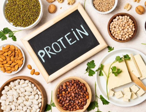 میزان پروتئین مجاز مصرفی در روز