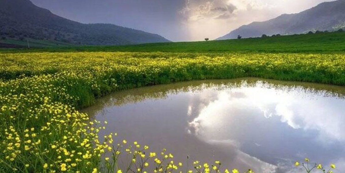 وزش باد شدید در برخی مناطق لرستان/ دمای هوا کاهش می‌یابد