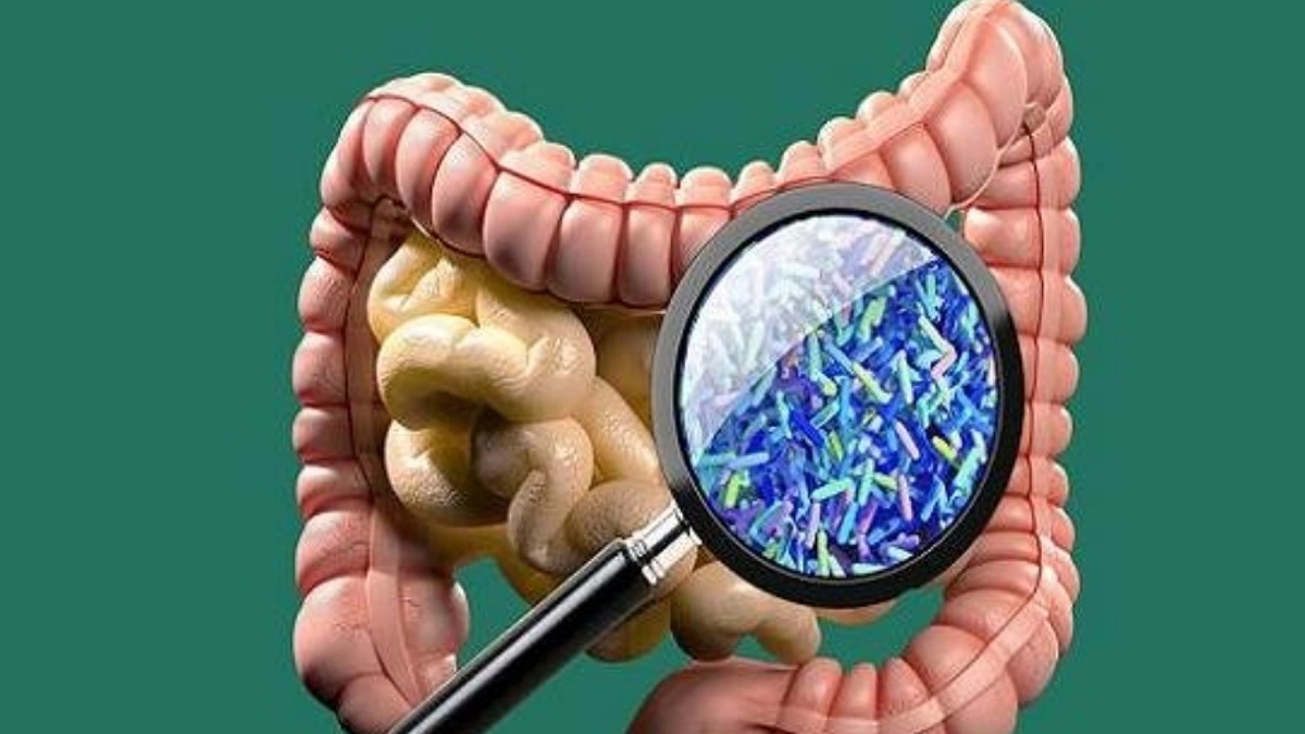سلول‌های حیاتی برای سلامتی در هر ساعت تغییر میکند
