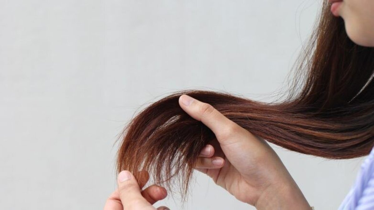 رژیم غذایی پرچربی و تاثیر آن بر فولیکول‌های مو