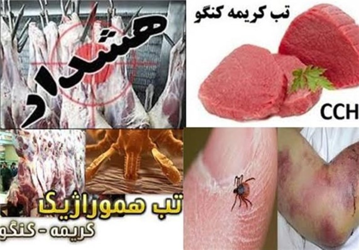 هشدار دامپزشکی؛ شمار مبتلایان تب کریمه کنگو افزایش یافت