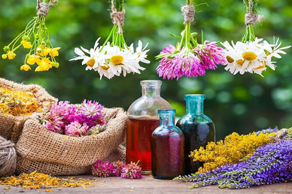 تداخلات این گیاهان دارویی را فراموش نکنید!