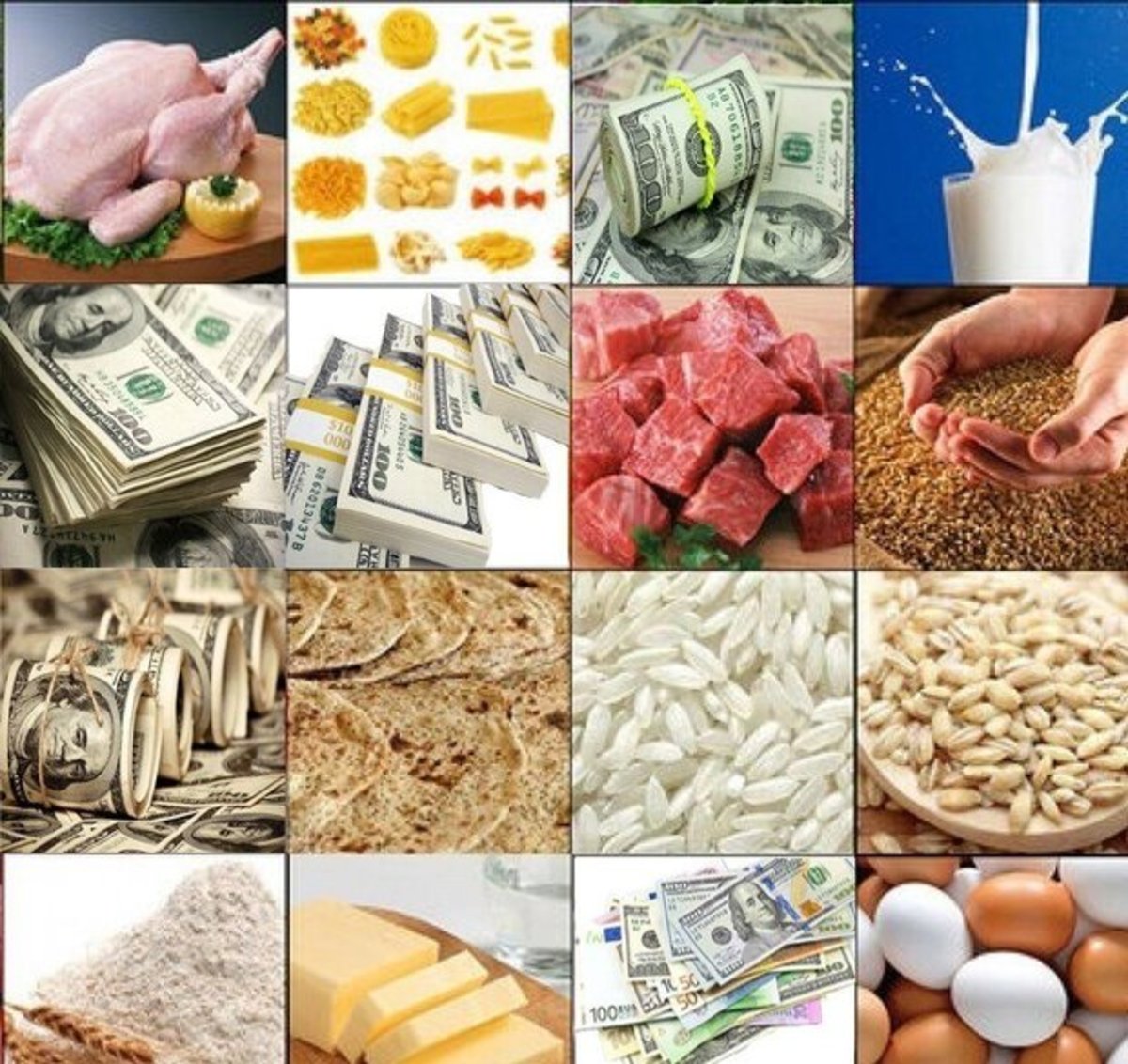 تاثیرگذاری دولت بر قیمت‌ها موقتی است؛ در بلند مدت باید  از قیمت تبعیت کند