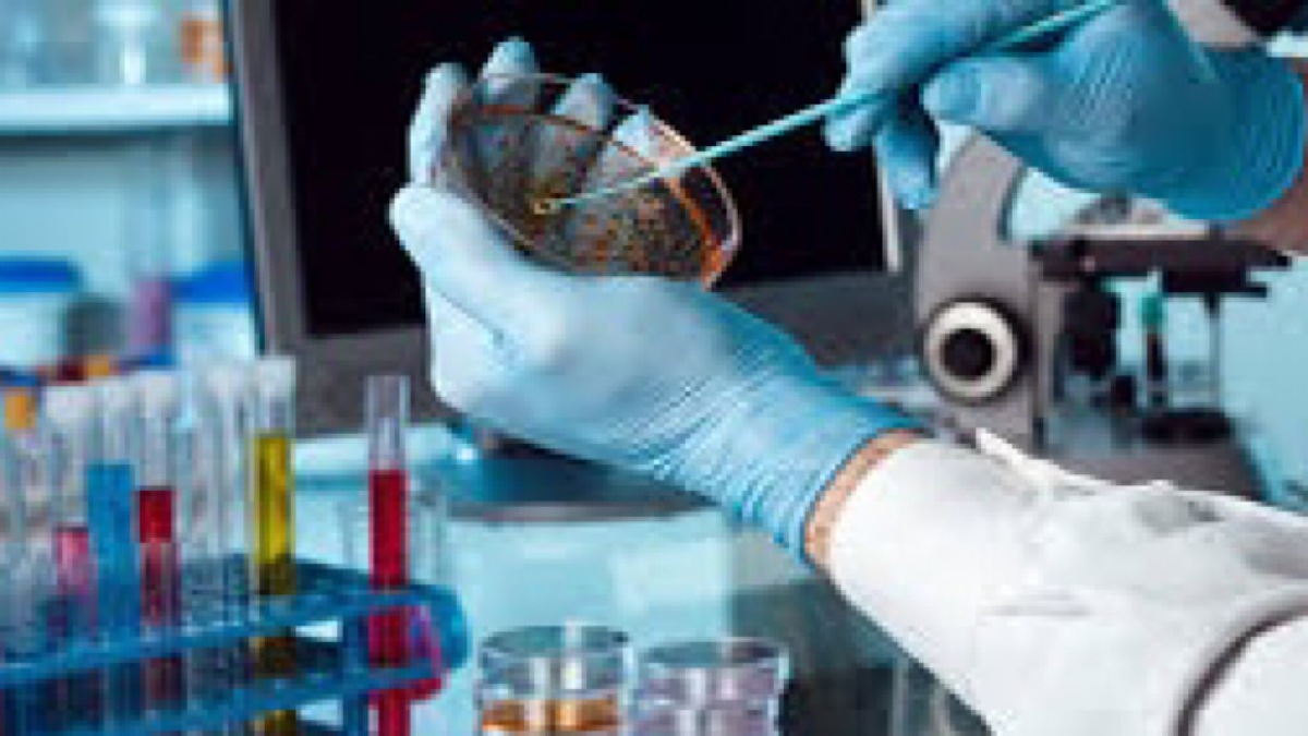ابداع حسگر ردیابی گاز آمونیاک که پتانسیل بالایی برای تولید دستگاه ارزان قیمت دارد