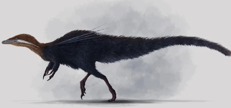 کشف فسیل دایناسور غیر پرنده با پوشش پَرمانند!