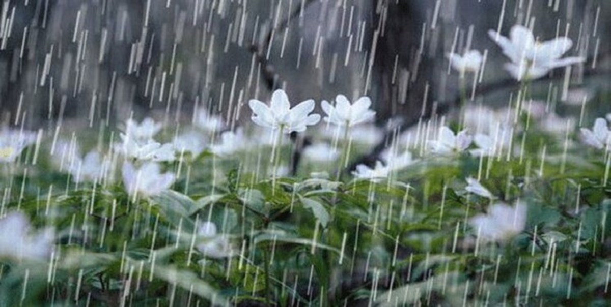 هشدار زرد هواشناسی در خوزستان