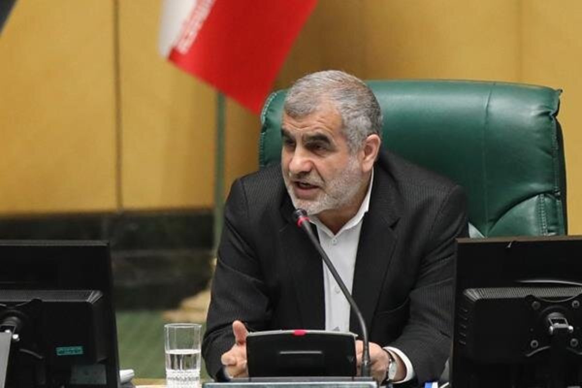 ماموریت «نیکزاد» به کمیسیون‌های کشاورزی و اقتصادی درباره نان و مرغ