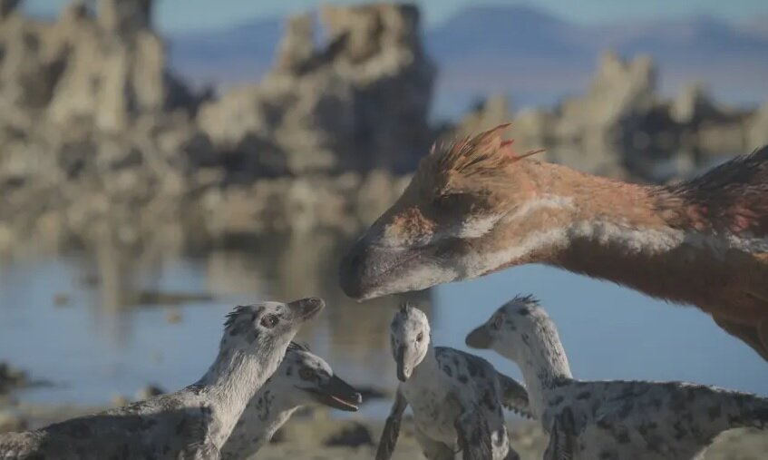 حقایقی جالب درمورد هیولا‌های با احساس؛ دایناسور‌ها موجوداتی اجتماعی و اهل خودنمایی