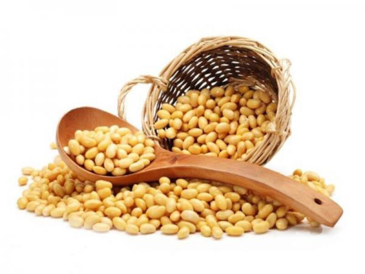 دانه‌های سویا راهی برای جلوگیری از ابتلا به سرطان معده