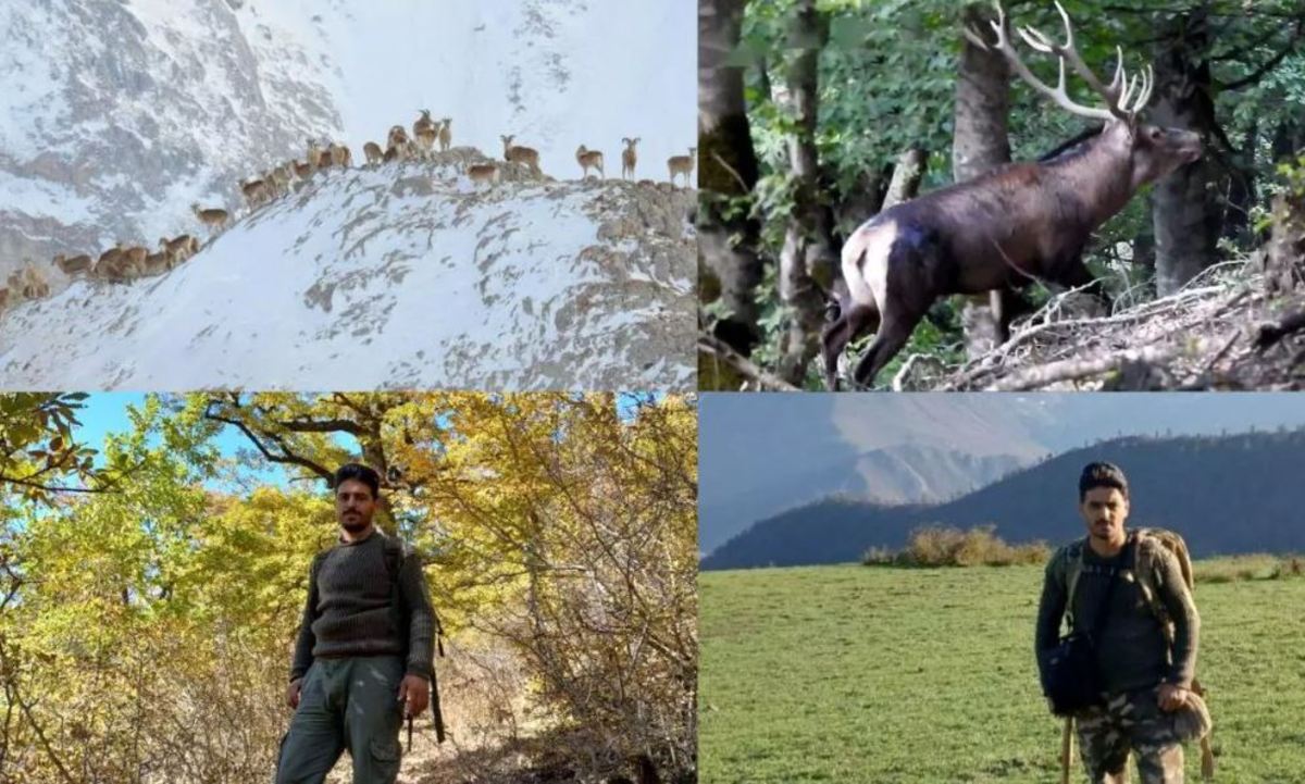 نجات حیات وحش سوادکوه با شکارچی‌های مهربان