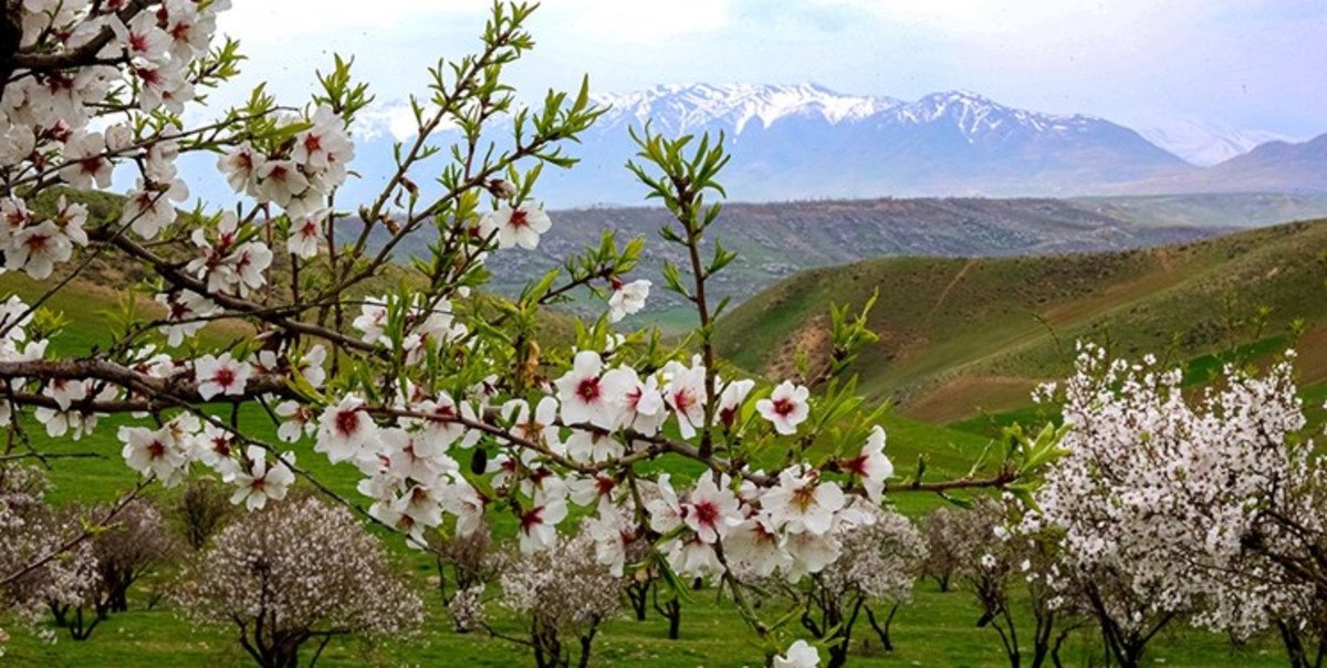 پیش بینی جوی آرام برای لرستان تا آخر هفته