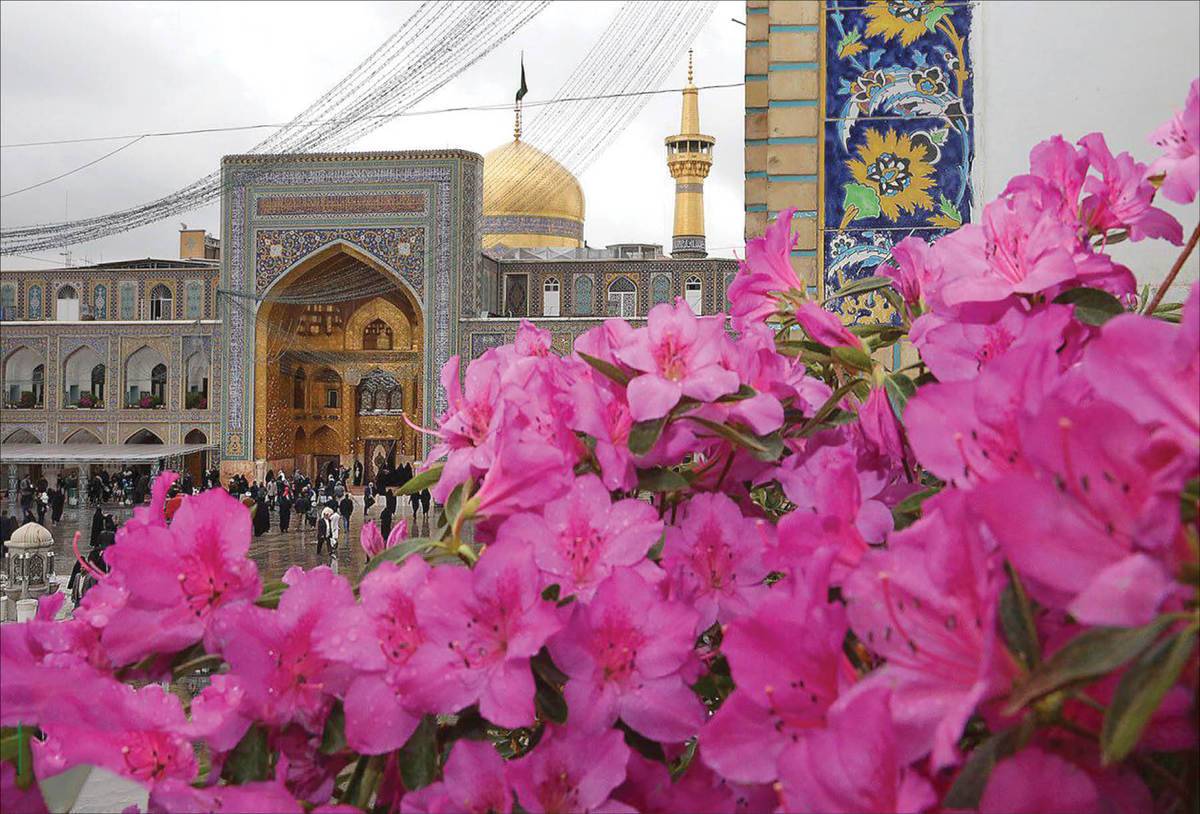 هزار سال ارادت شاعرانه به ساحت قدسی امام رضا (ع)