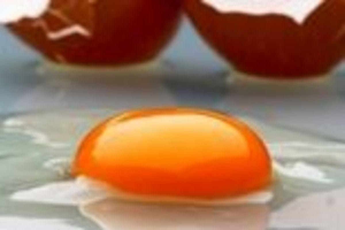 علت متفاوت بودن رنگ زرده تخم مرغ چیست؟