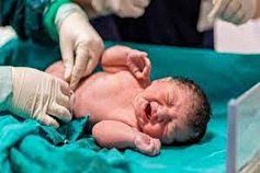 یک مسئول خبر داد: تولد ۸۸۴ نوزاد در بجنورد طی امسال