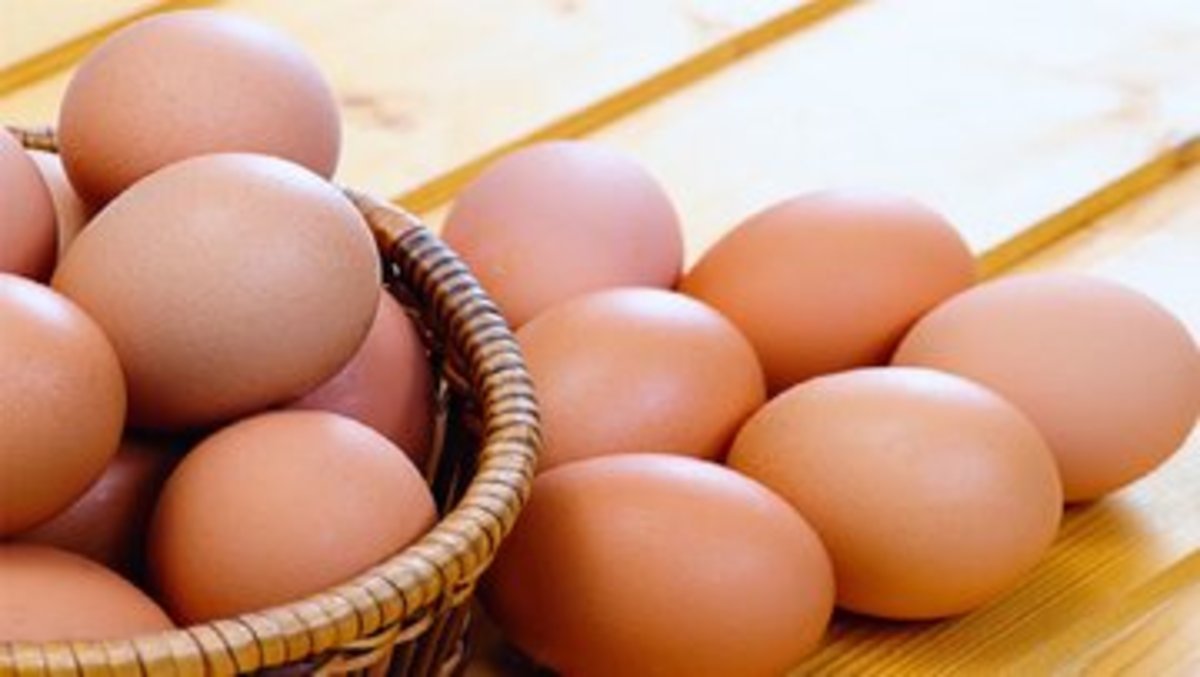 افزایش جوجه ریزی با واردات تخم مرغ نطفه‌دار