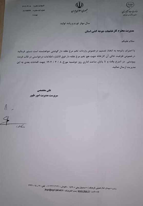 افزایش جوجه ریزی با واردات تخم مرغ نطفه‌دار