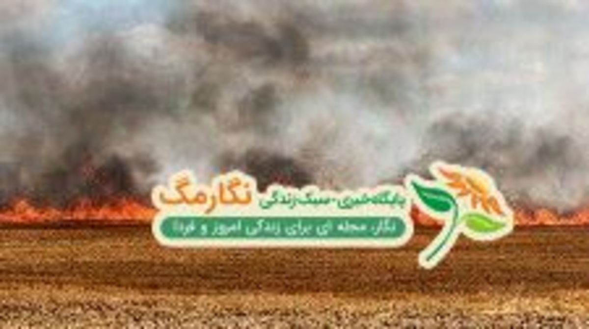 سوختن ۱۲۰ هکتار از مزارع و مراتع بهمئی در آتش