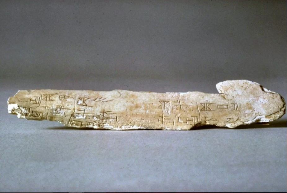 کتیبه‌های استخوانی جزو اولین یافته‌های زبان باستانی چین+عکس